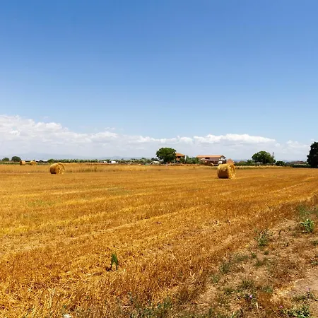 Farm stay Bilo Gardenia